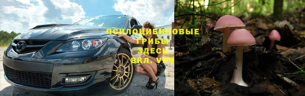 Альфа ПВП Алексеевка