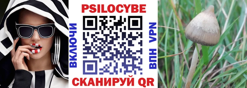 ссылка на мегу зеркало  Куйбышев  Псилоцибиновые грибы мицелий  где купить наркоту 